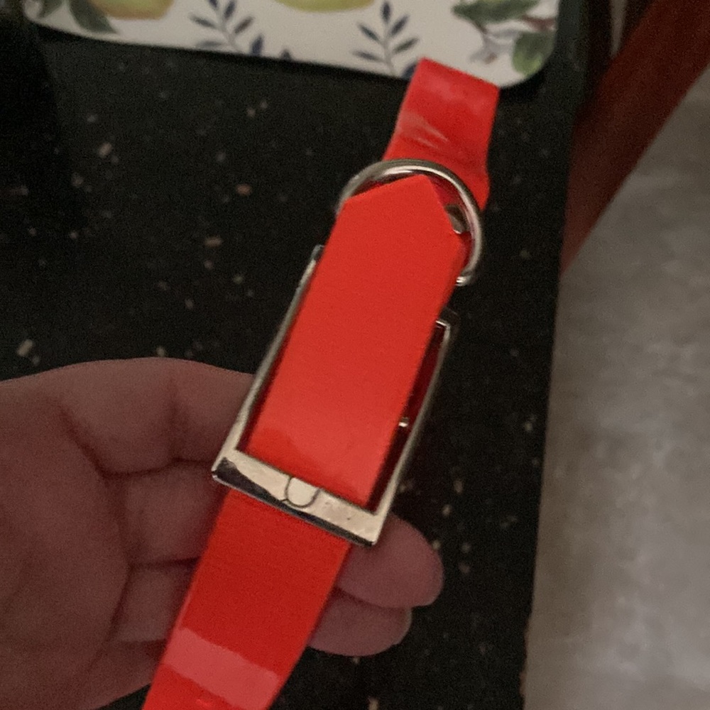 New bright orange l dog leash